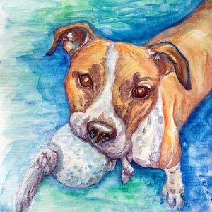 Custom Pet Portraits In Watercolor